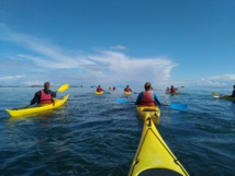 SORTIES ENCADREES SORTIES ENCADREES