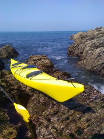 Reprise d'activité : les infos indispensables Reprise d'activité : les infos indispensables