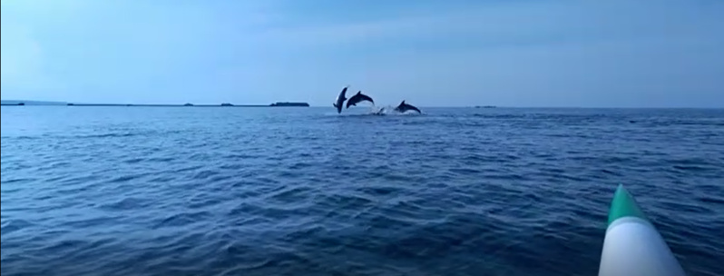 Se déplacer à la pagaie pour se fondre dans la nature ! Se déplacer à la pagaie pour se fondre dans la nature !
