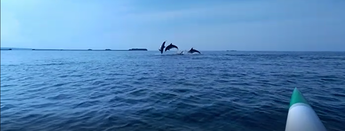 Se déplacer à la pagaie pour se fondre dans la nature !