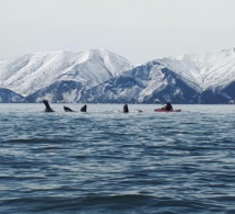 Wave-ski Surfing : Retour de Paul JOUET en compétition !