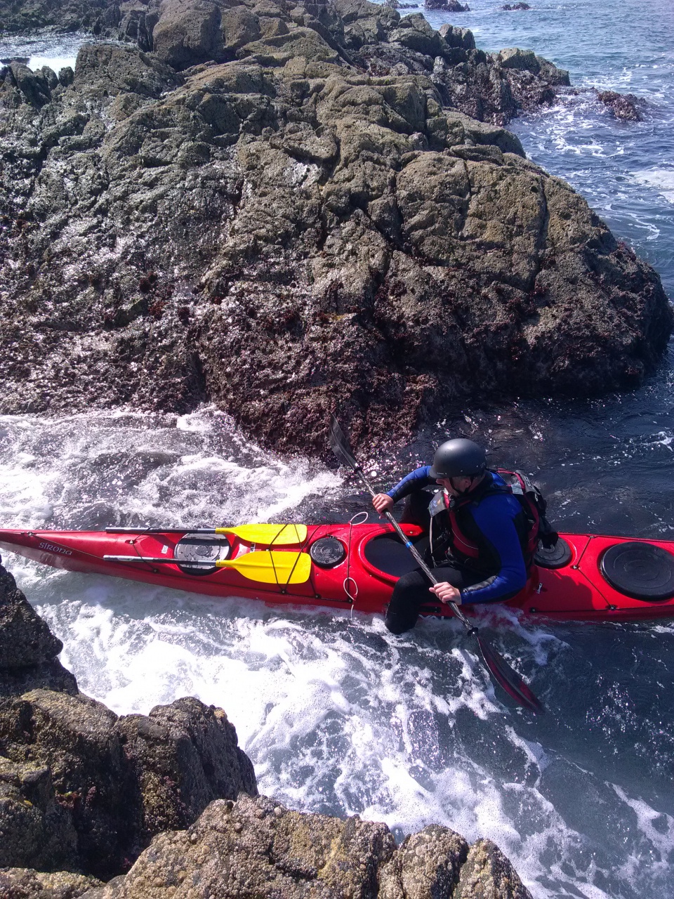 IMG_20190421_155616 IMG_20190421_155616