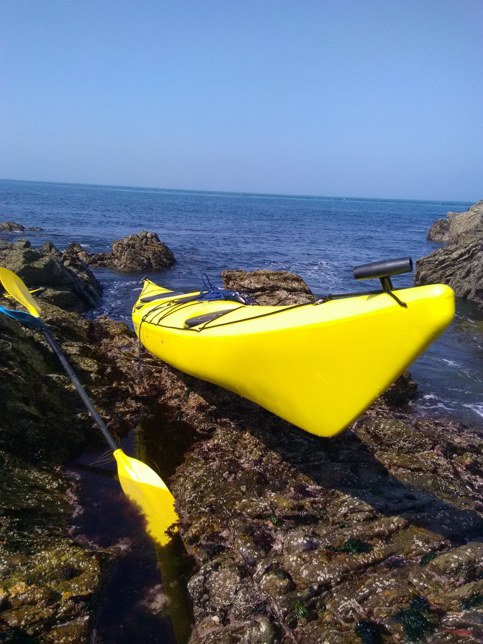 IMG_20190421_160419 IMG_20190421_160419