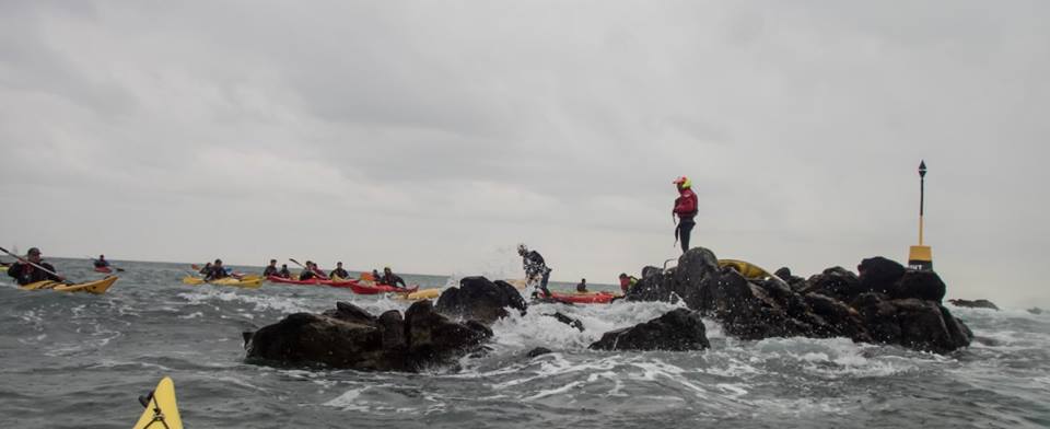 moniteurs 