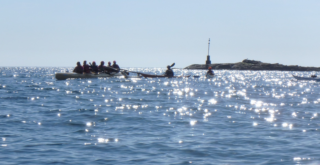 P6231327 au milieu des étoiles... P6231327 au milieu des étoiles...